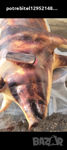 Бахур, селска наденица и свински суджук, снимка 8 - Домашни продукти - 53387501