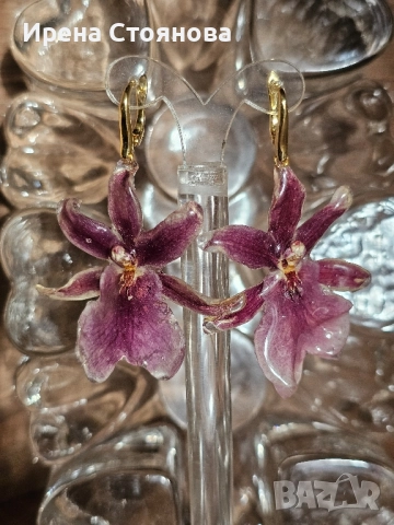 Обеци с естествен цвят на орхидея , снимка 5 - Обеци - 52387375