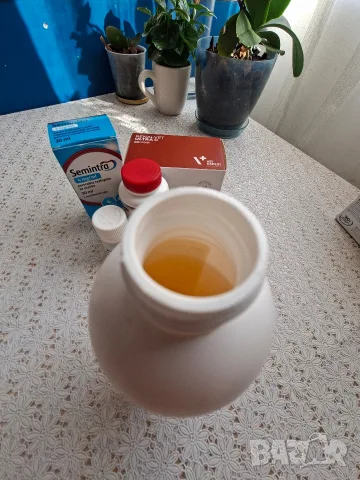 Консумативи за котки, снимка 3 - За котки - 55796298