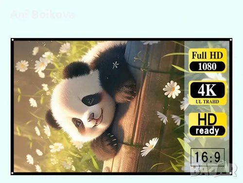 Проектор и голям екран