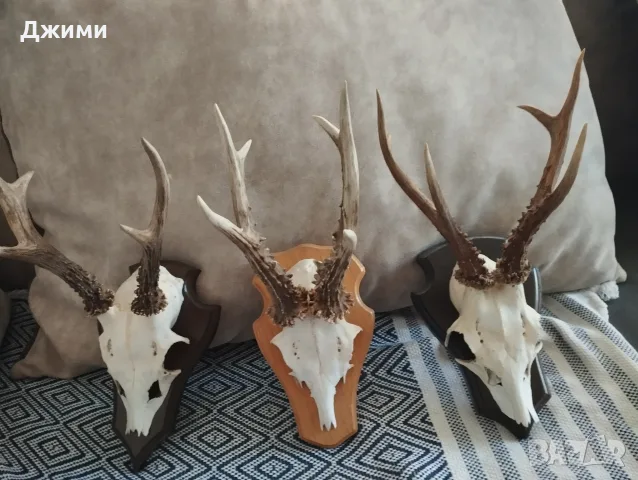 красиви трофеи от сръндак