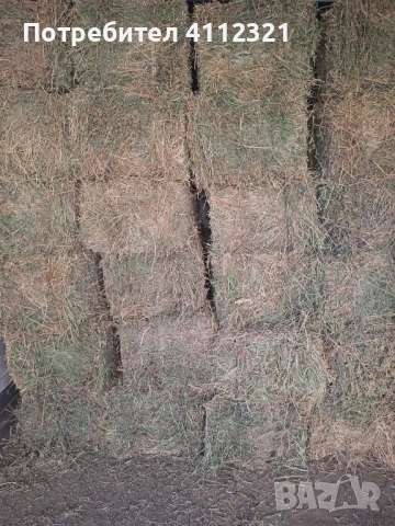 Бали люцерна - доставка на място , снимка 2 - За селскостопански - 53218939