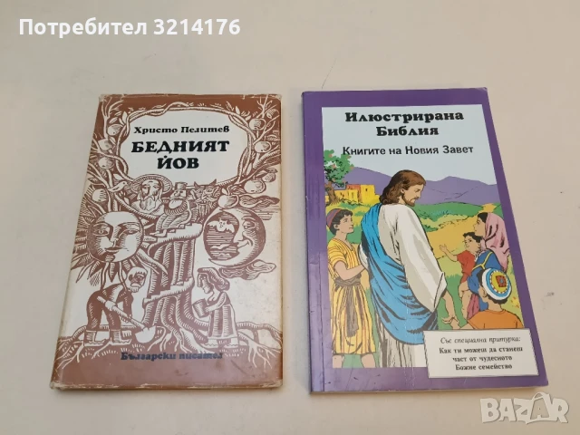 Илюстрирана библия - 240 гравюри на дърво от Юлиус Шнор фон Каролсфелд 