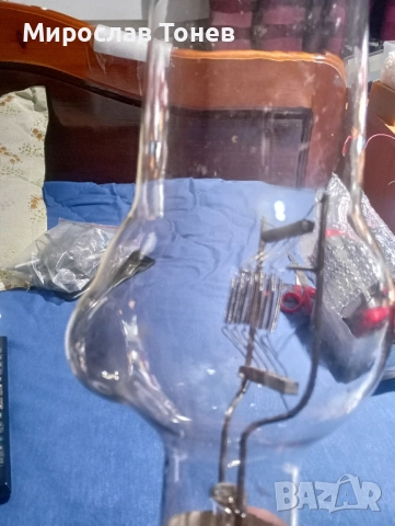 продавам крушки , снимка 3 - Крушки - 52135822