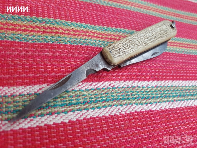 Ножка полска военна