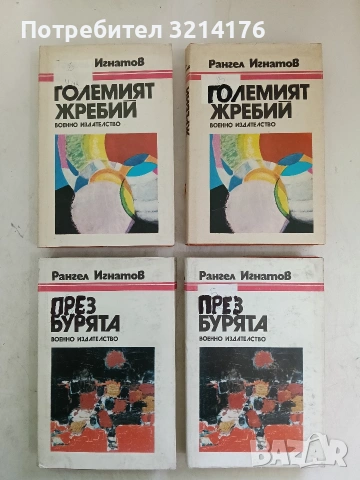 През бурята /  Книга 1: Големият жребий - Рангел Игнатов