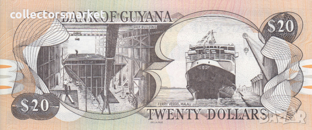 20 долара 1996, Гвиана, снимка 2 - Нумизматика и бонистика - 36277342