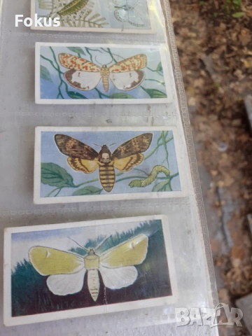 КОЛЕКЦИОНЕРСКИ КАРТИ СТИКЕРИ ПЕПЕРУДИ ИНДИАНЦИ КАУБОЙЦИ, снимка 4 - Антикварни и старинни предмети - 53512468