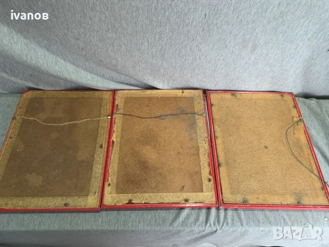 три  Цветни литографии Папагали   Печат , снимка 9 - Картини - 49608857