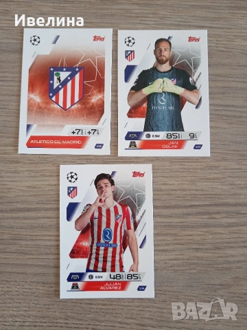 Отбори Match Attax 25 /26, снимка 16 - Нумизматика и бонистика - 53618965