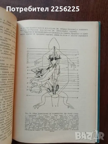Ръководство за практически занятия по зоология на гръбначните животни, снимка 8 - Специализирана литература - 50440615