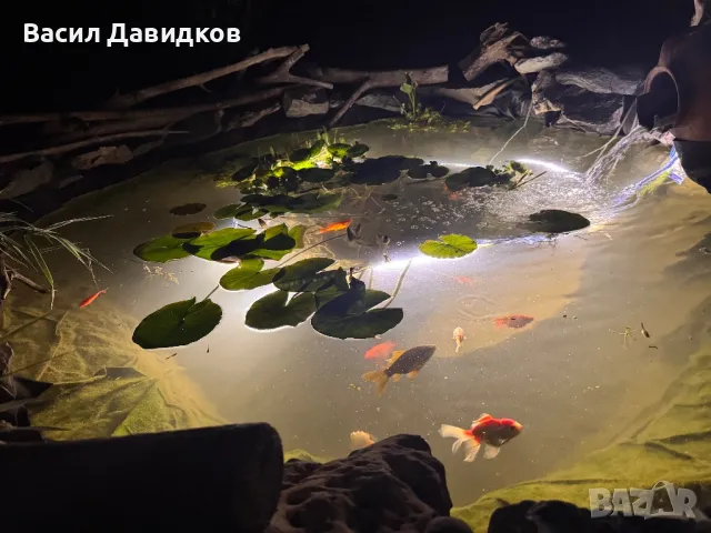 Осветление за езеро , снимка 3 - Други - 47498871