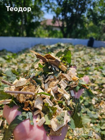 Услуги с професионална дробилка за клони градинарски, снимка 3 - Други почистващи услуги - 41731116