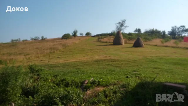 Имение 155 дка с.Бабинци, Тетевен.По договаряне., снимка 5 - Земеделска земя - 48987139