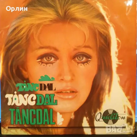 Грамофонни плочи, снимка 7 - Грамофонни плочи - 49452146