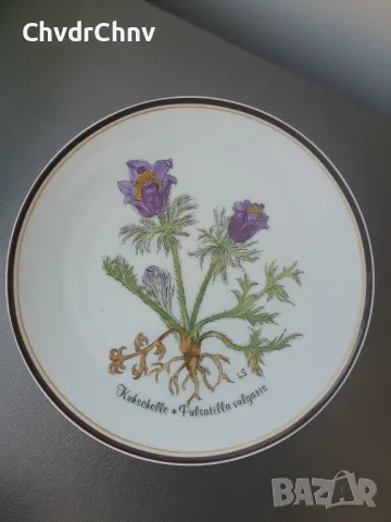6бр Rosenthal Розентал стара немска колекционерска декоративна порцеланова чиния-картина/цветя, снимка 4 - Картини - 48041930