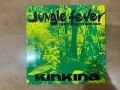 Грамофонна плоча 12”, снимка 1