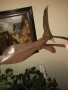 Резник philodendron Florida Bronze , снимка 3