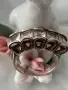Уникален сребърен пръстен , снимка 2