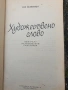 Художествено слово-Сия Челебиева , снимка 4