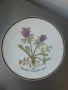 6бр Rosenthal Розентал стара немска колекционерска декоративна порцеланова чиния-картина/цветя, снимка 4