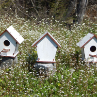 Къщички за птици , върху които може да се рисува ., снимка 5 - Други - 36254268