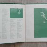 DAN FOGELBERG Две американски издания 1972г,1974г И двете плочи са GATEFOLD,с твърди обложки Цена-15, снимка 2 - Грамофонни плочи - 42545772