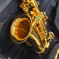 Saxofone alto Eb Weril Spectra A931 Made In Sao Paulo - алт сакс с куфар - ПЕРФЕКТЕН, снимка 13 - Духови инструменти - 42010073