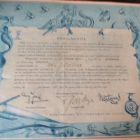 Стар документ за преминаването на екватора на кораба Willem ruys от 22 януари 1957 г.s, снимка 4 - Антикварни и старинни предмети - 41680823