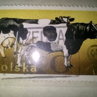 Стари Полски пощенски марки, снимка 17 - Филателия - 41806751