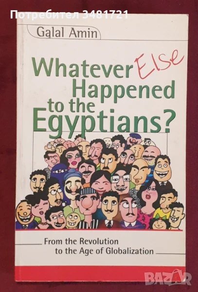Какво точно се случи с египтяните - от революция до глобализация, снимка 1