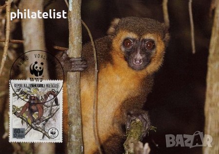 Мадагаскар 1988 - 4 броя Карти Максимум - WWF, снимка 1