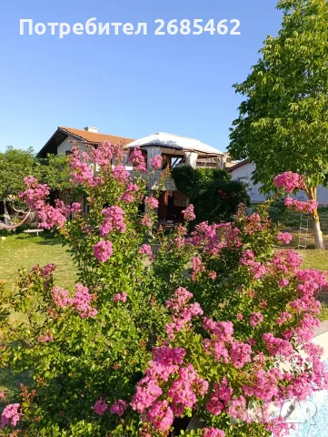 Две къщи с голям басейн с.Веселие, снимка 2 - Къщи - 55853312