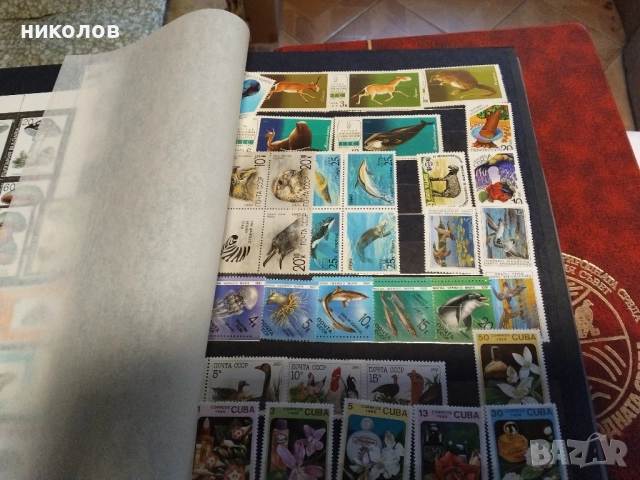 ККЛАСЬОРИ С ПОЩЕНСКИ МАРКИ И МАГНИТИ ЗА ХЛАДИЛНИК, снимка 11 - Филателия - 52931041