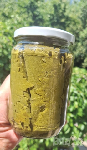 Домашни сладка, сиропи, желета, хрян, лозови листя и сушени билки, снимка 15 - Домашни продукти - 45413814