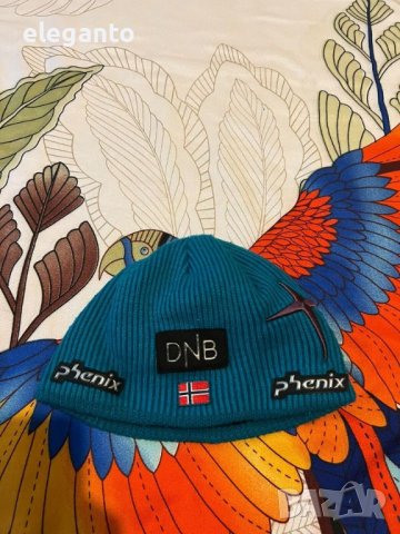 Phenix DNB Norge Alpine Team Beanie мъжка скиорска шапка One size