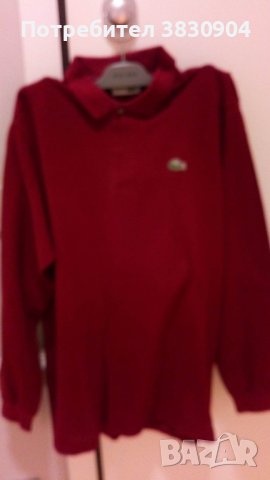 Поло шърт Lacoste, М, 100% памук, дълъг ръкав, снимка 6 - Блузи - 42195715