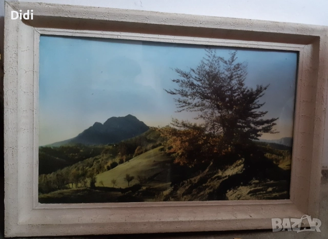 Картина Ретро Соц Българска 