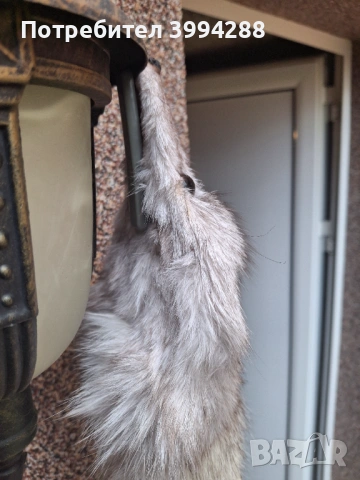 Шал от сребърна бяла лисица, снимка 3 - Шалове - 53350677
