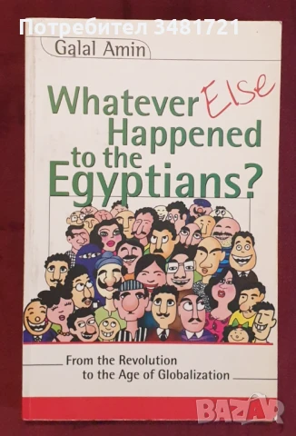 Какво точно се случи с египтяните - от революция до глобализация, снимка 1