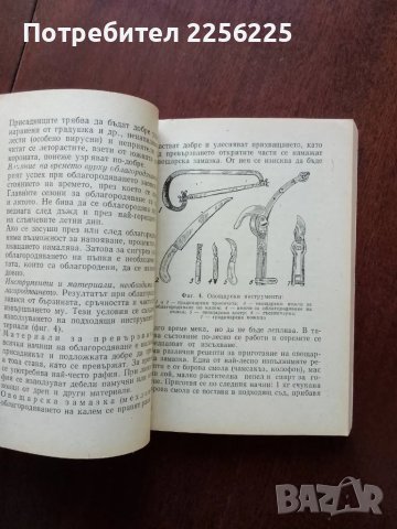 Круша, снимка 3 - Специализирана литература - 50427193