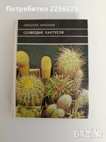 Созвездие кактусов