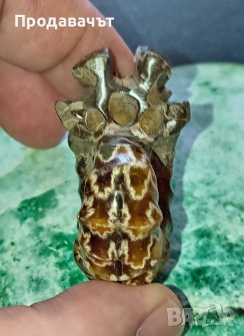 Амонит от Мадагаскар, снимка 5 - Декорация за дома - 53767979