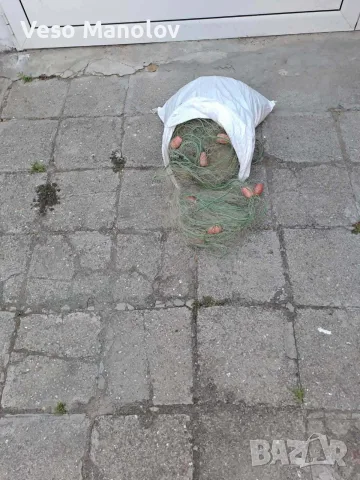 Дънна плаваща фустанела