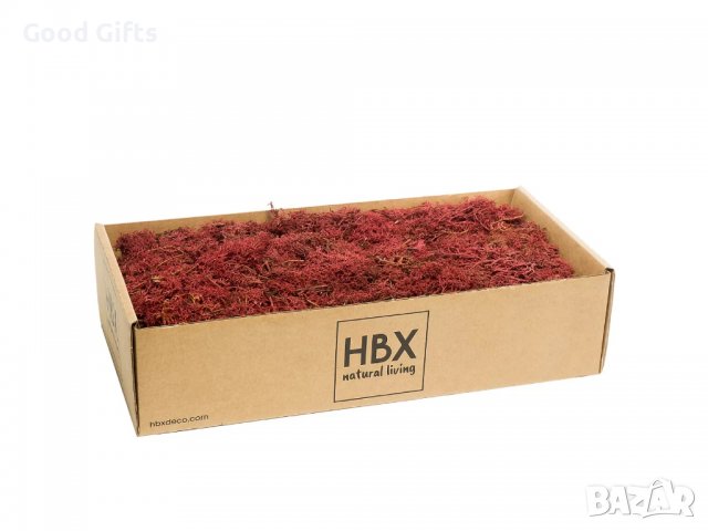 Скандинавски Мъх 500гр, Бордо