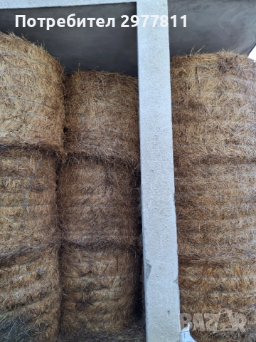 Бали сено 300кг
