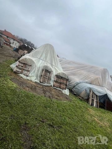 ролонни бали люцерна, снимка 8 - За селскостопански - 53300344