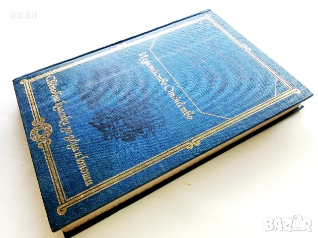 Анелка - Болеслав Прус - 1981г., снимка 4 - Художествена литература - 53412460