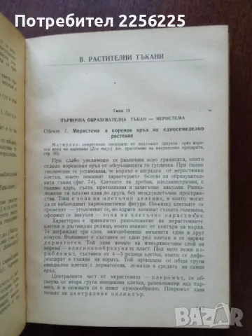 Практическо ръководство по анатомия и морфология на растенията , снимка 5 - Специализирана литература - 50427519