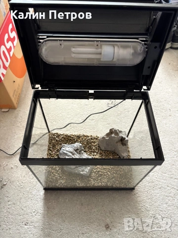 Аквариум, снимка 2 - Аквариуми - 53743748